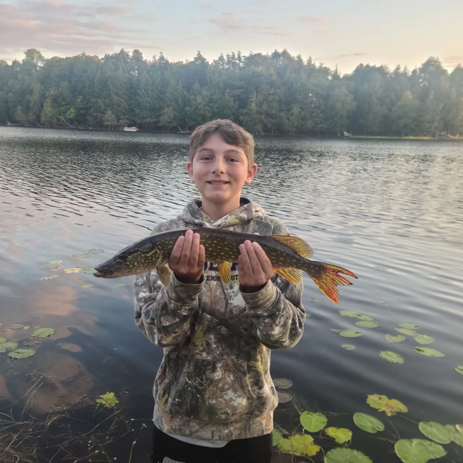 Northern pike caught on Fishbrain