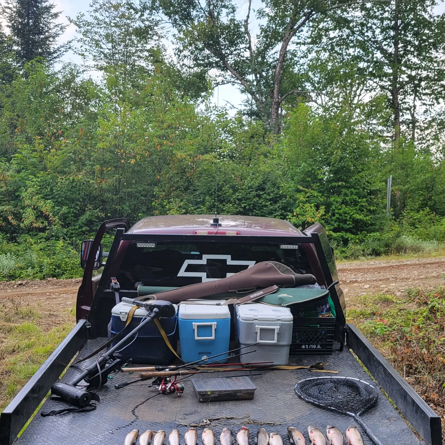 recently logged catches