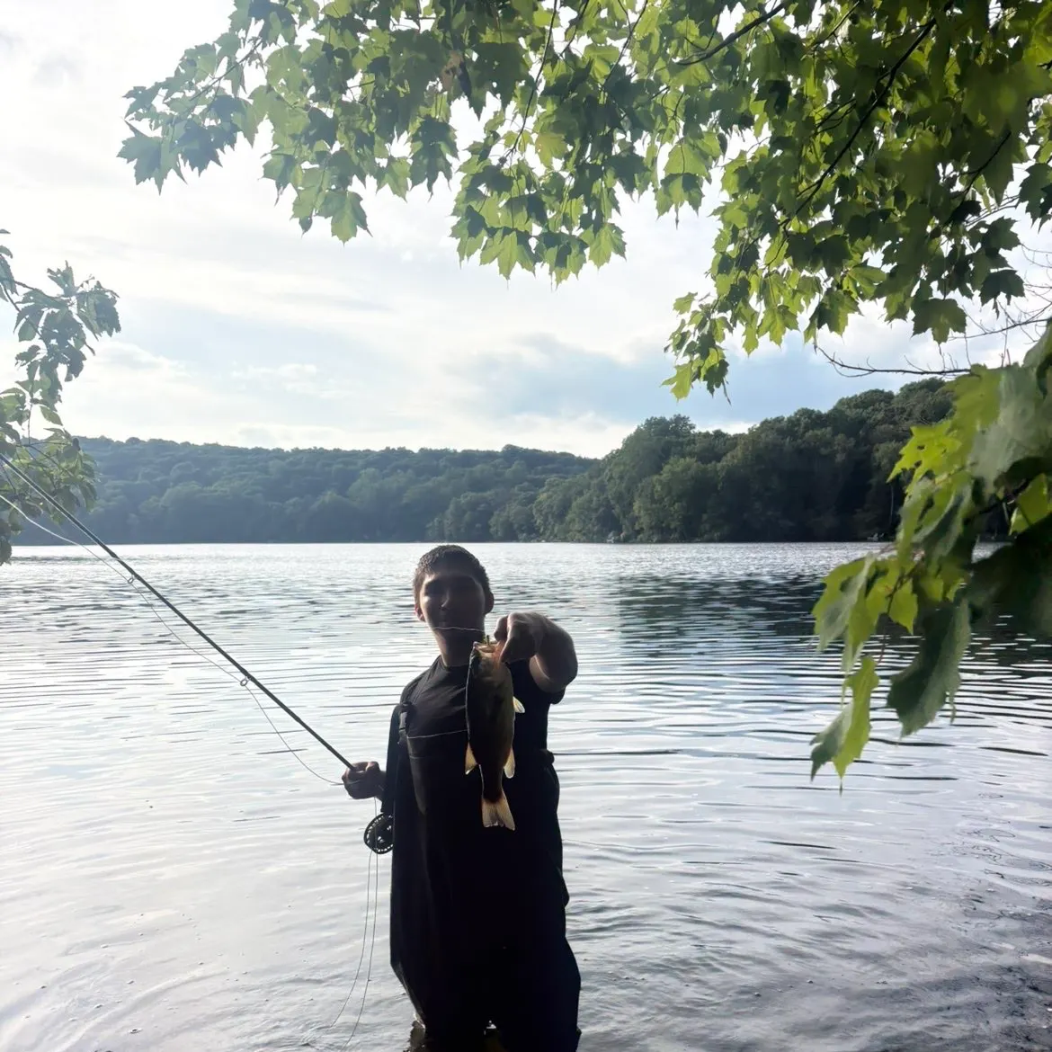 Smallmouth bass caught on Fishbrain