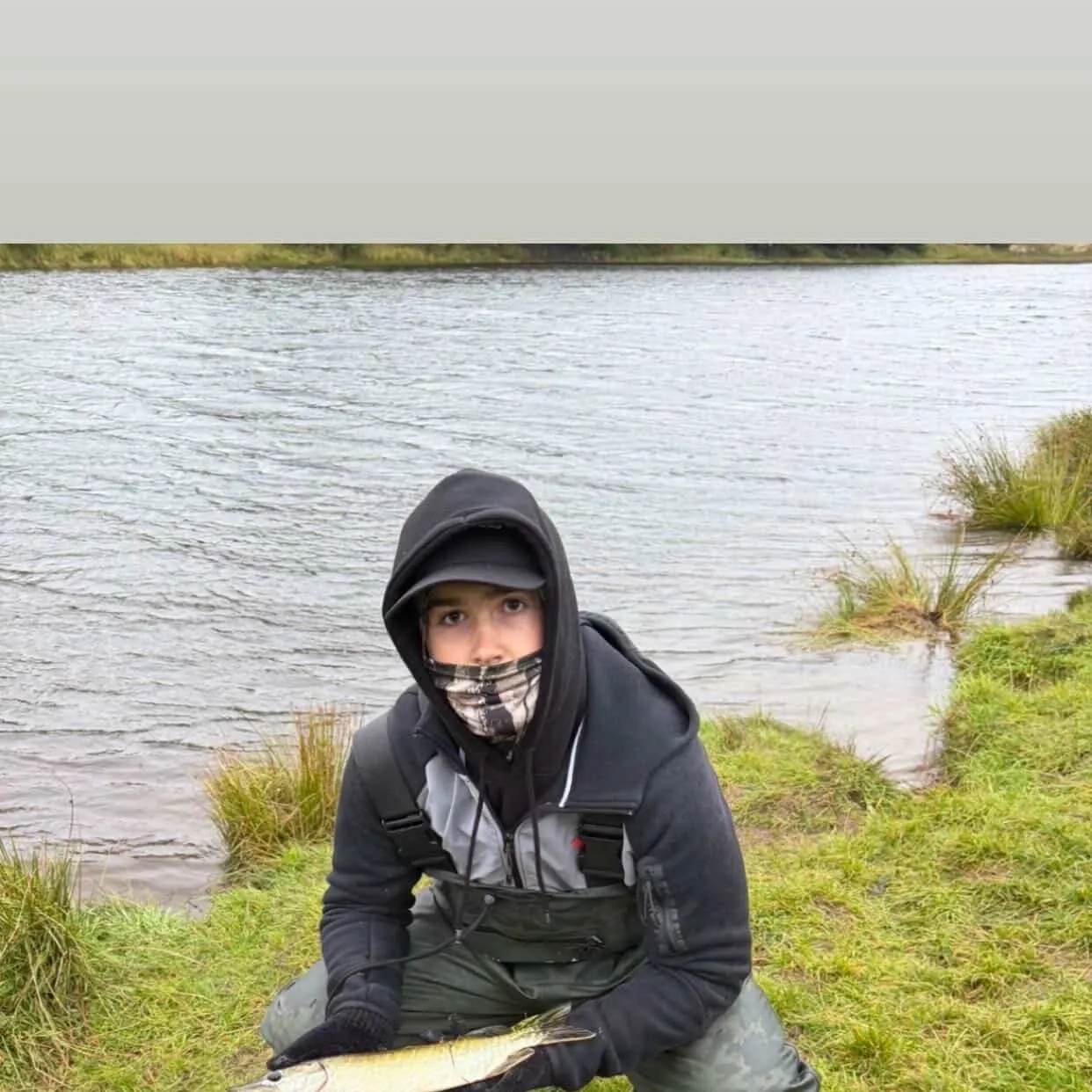 Northern pike caught on Fishbrain