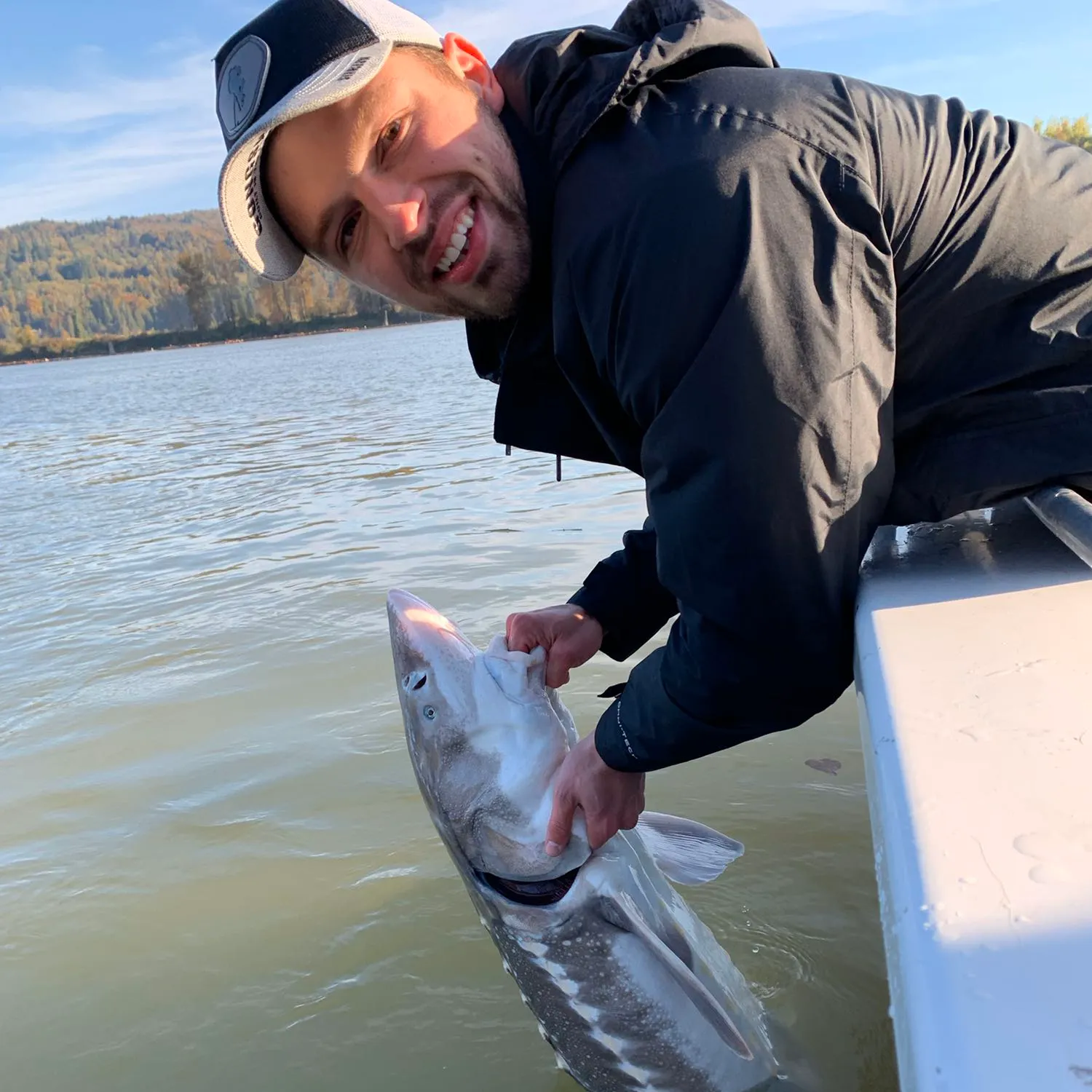 White sturgeon caught on Fishbrain