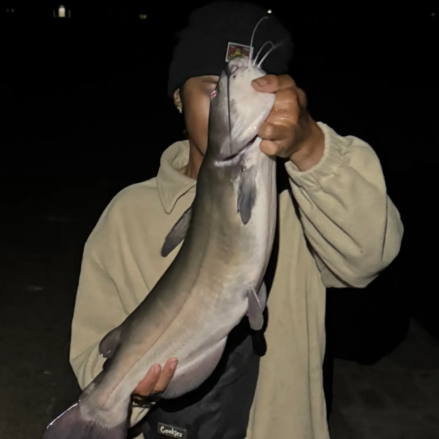 The most recent Channel catfish catches on Fishbrain