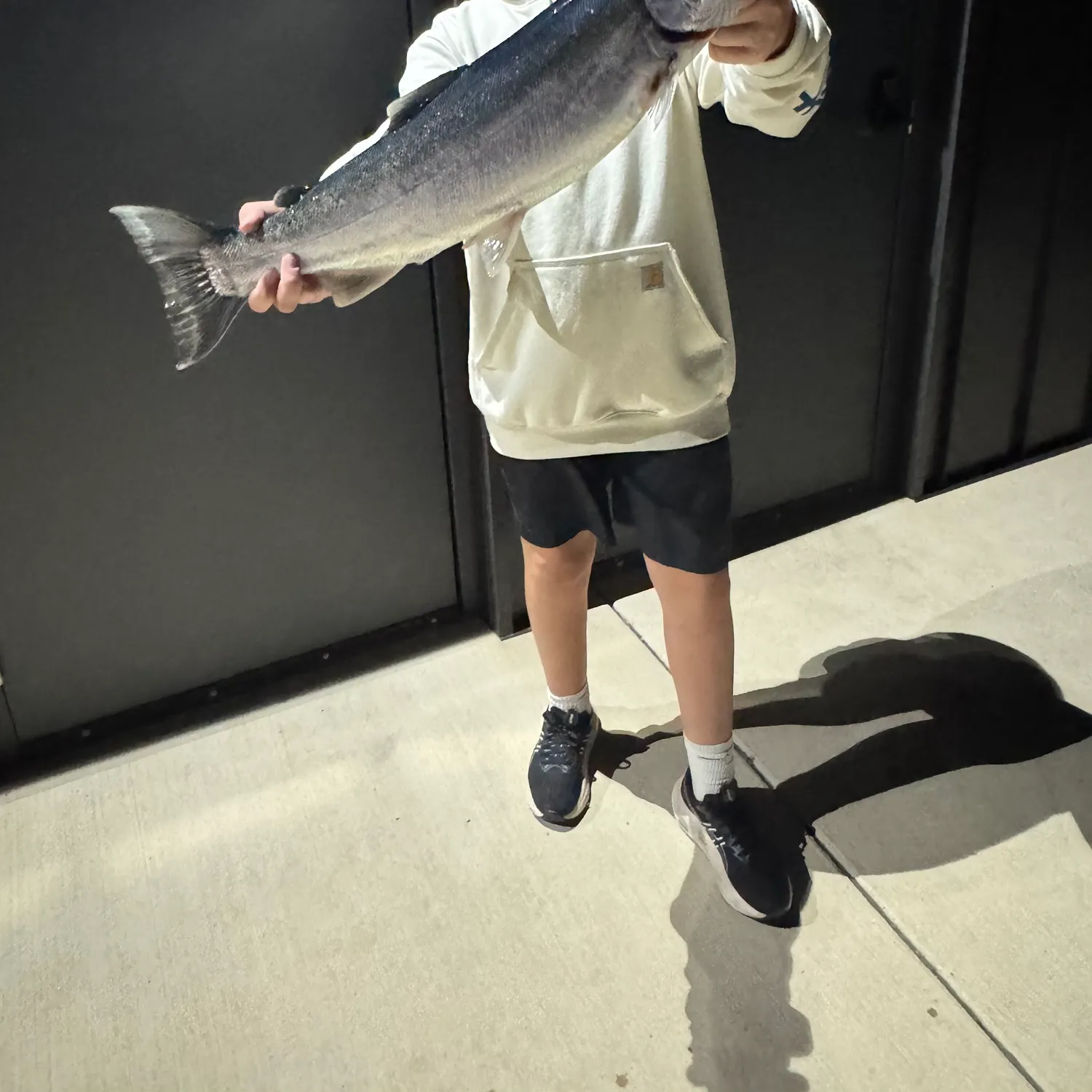 Steelhead caught on Fishbrain