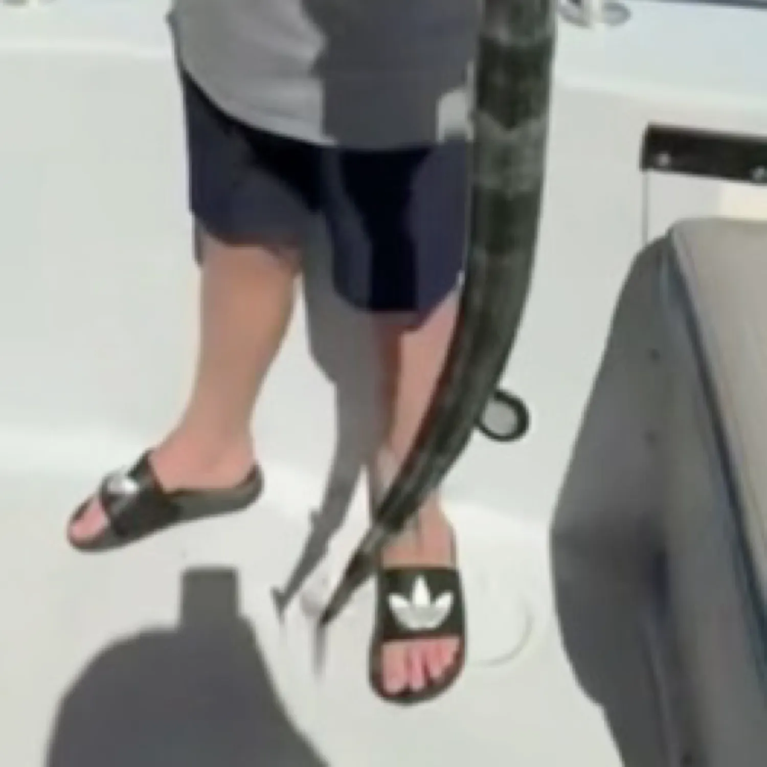 The most recent Red cornetfish catches on Fishbrain