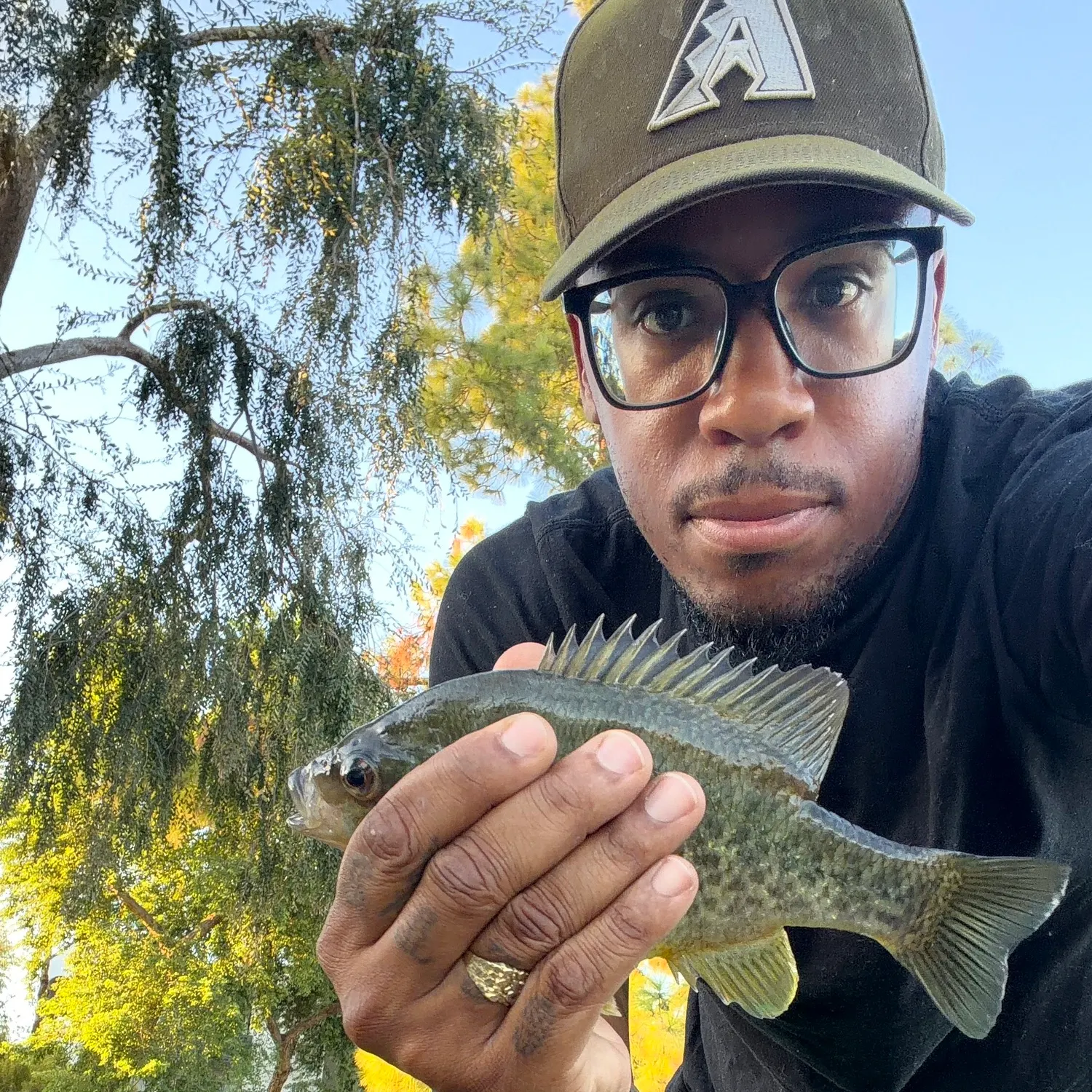 Redear sunfish caught on Fishbrain