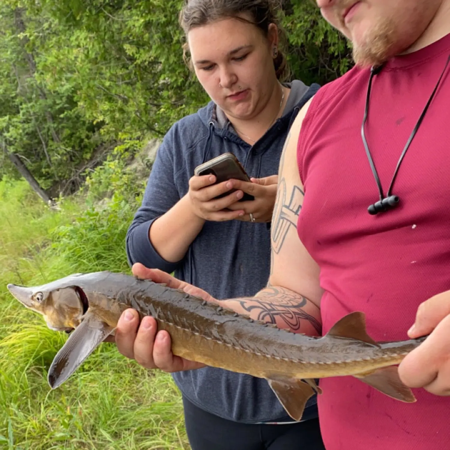 recently logged catches