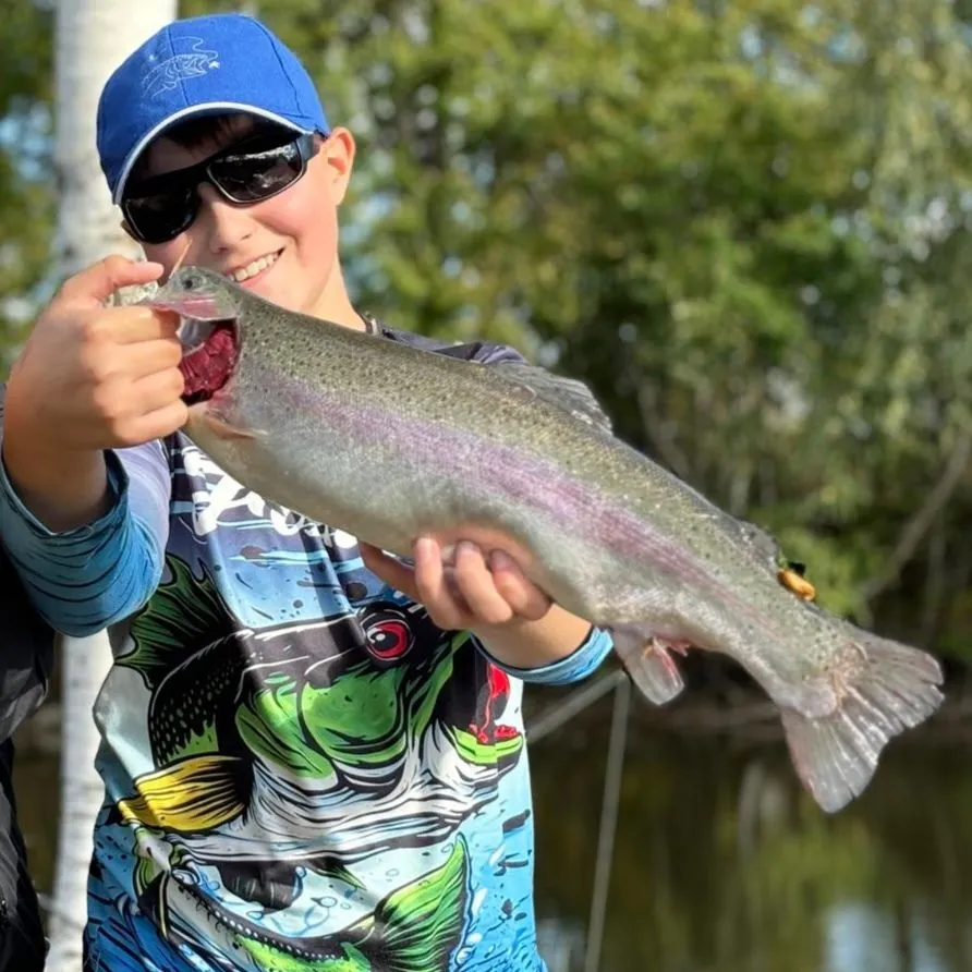 Rainbow trout caught on Fishbrain