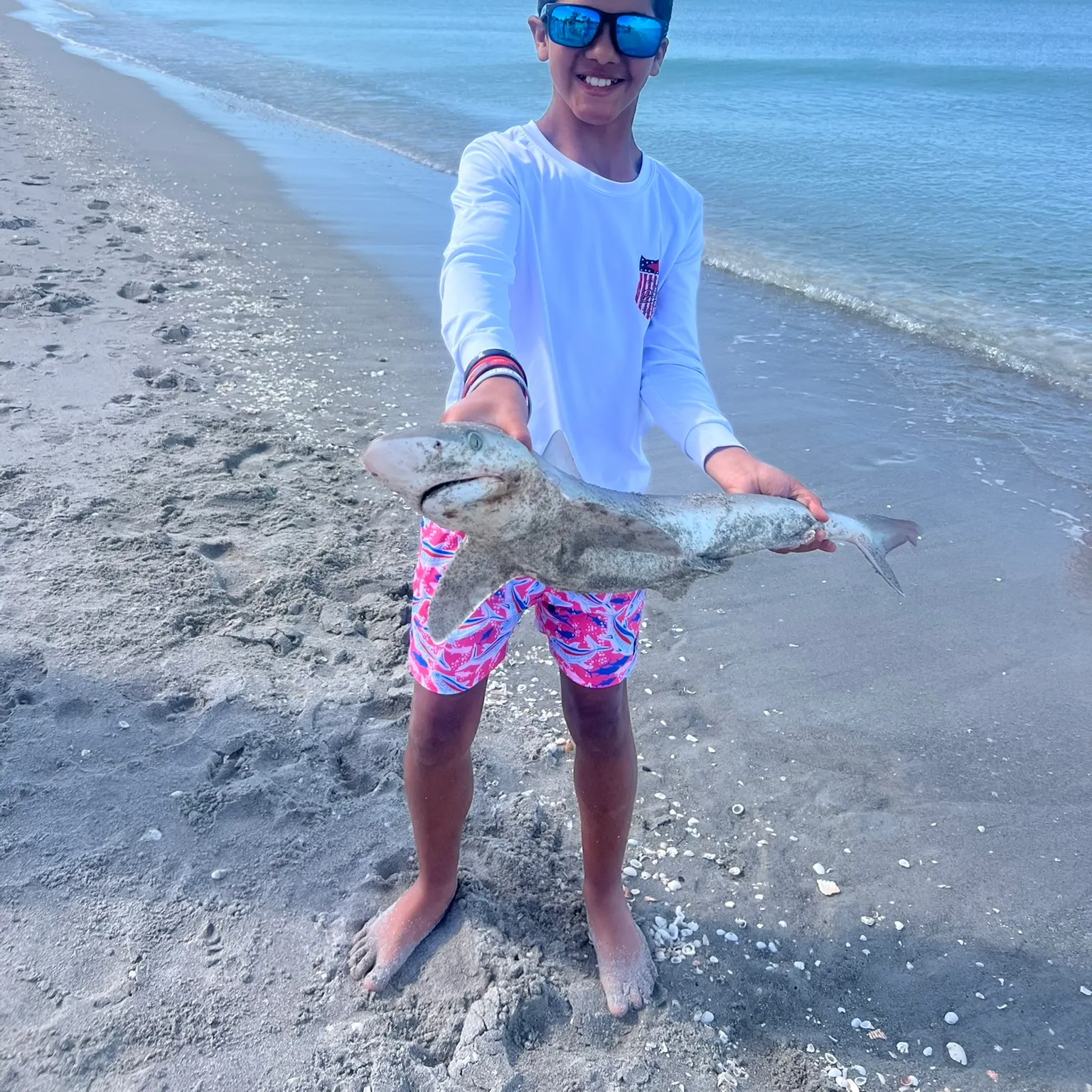 The most recent Spinner shark catches on Fishbrain