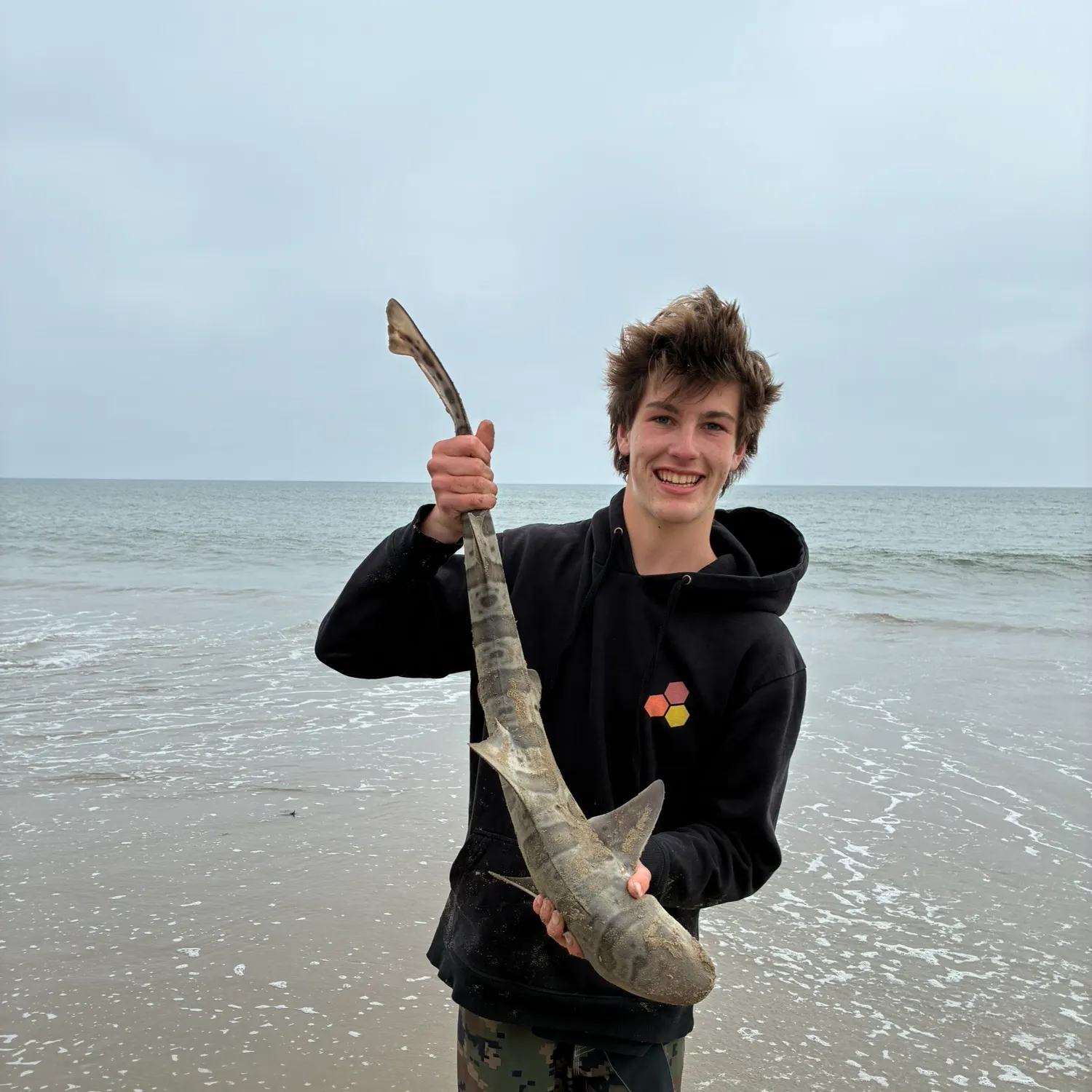 The most recent Leopard shark catches on Fishbrain