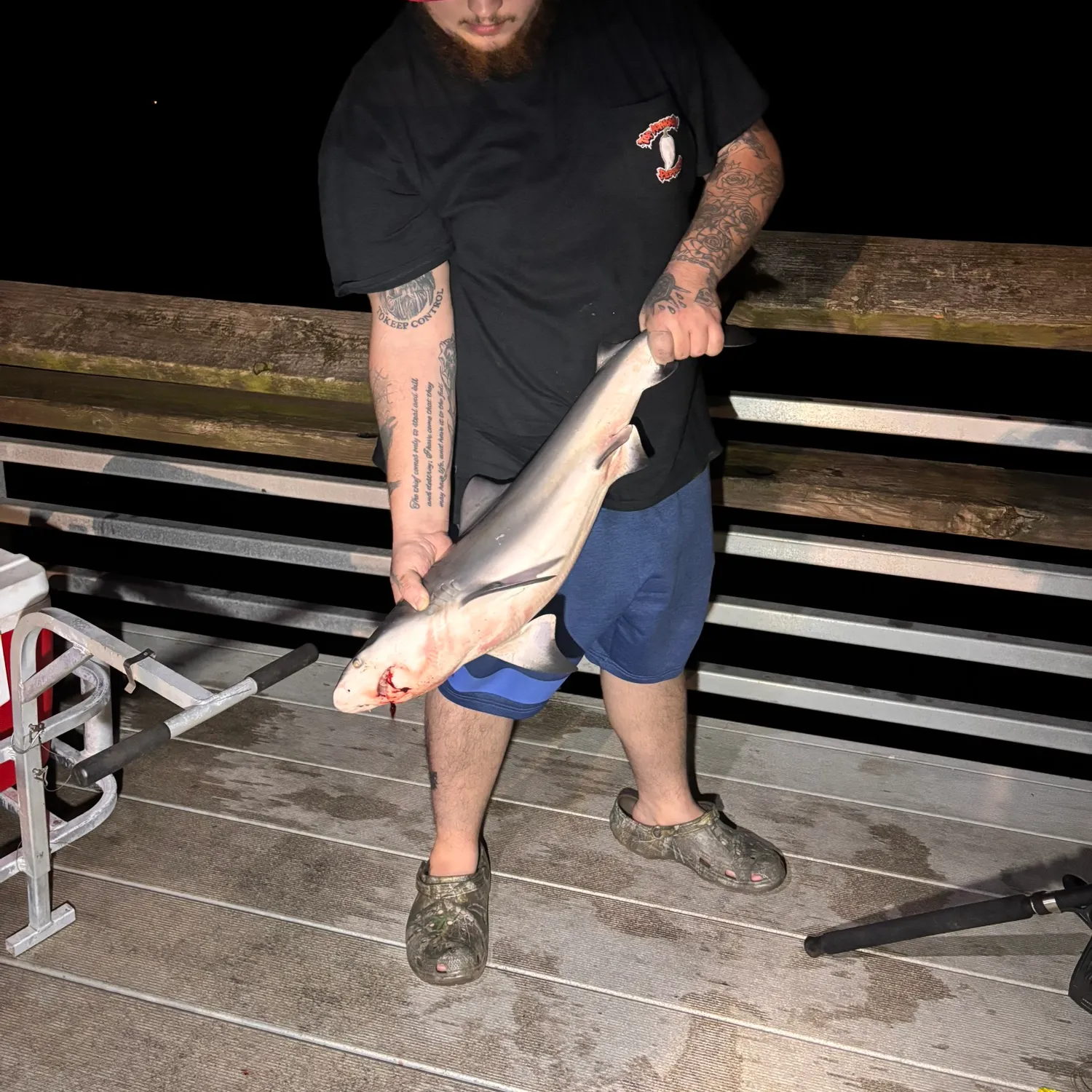 Blacktip shark caught on Fishbrain