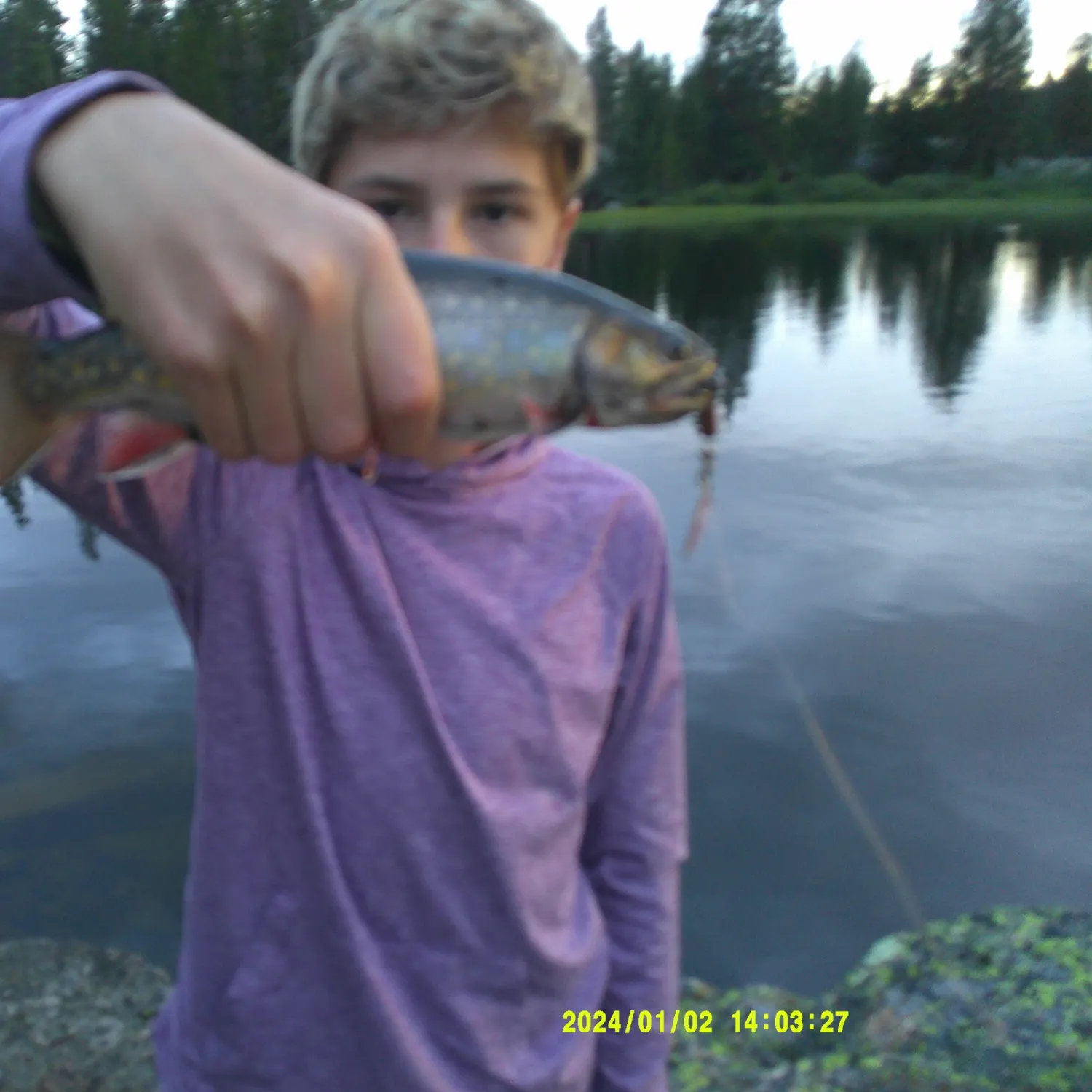 recently logged catches