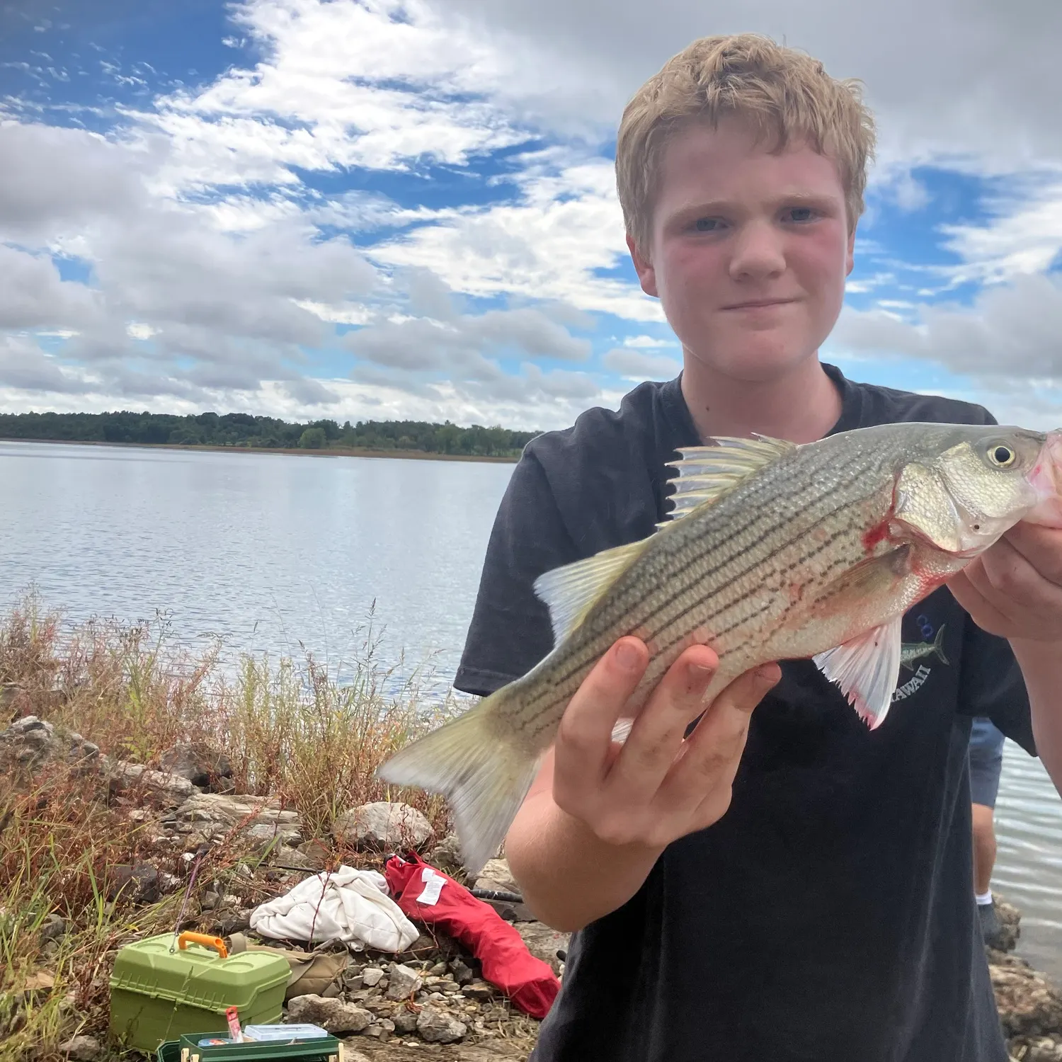 Wiper caught on Fishbrain
