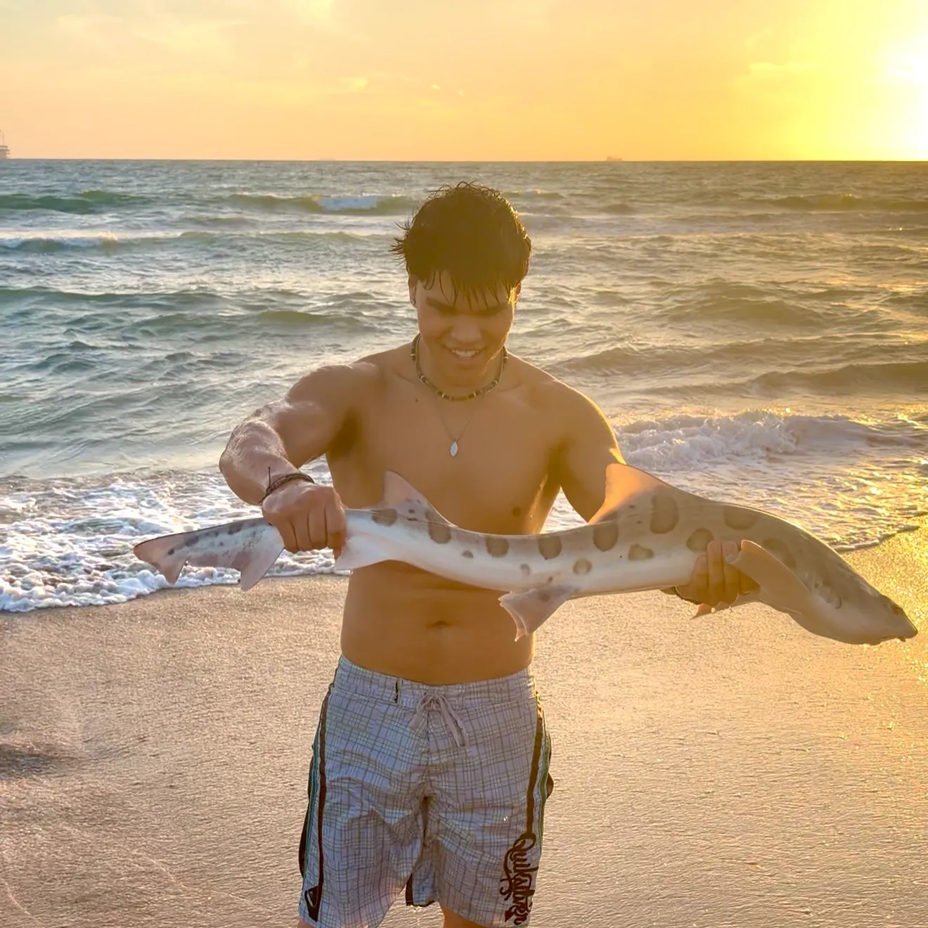 Leopard shark caught on Fishbrain