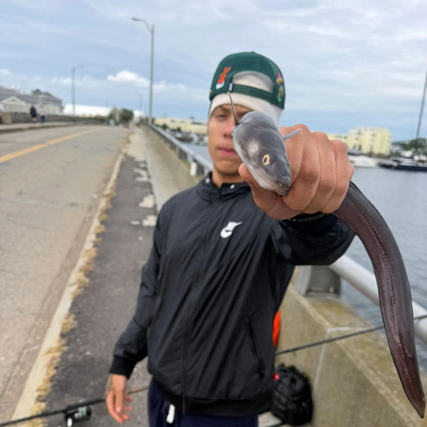 American eel caught on Fishbrain
