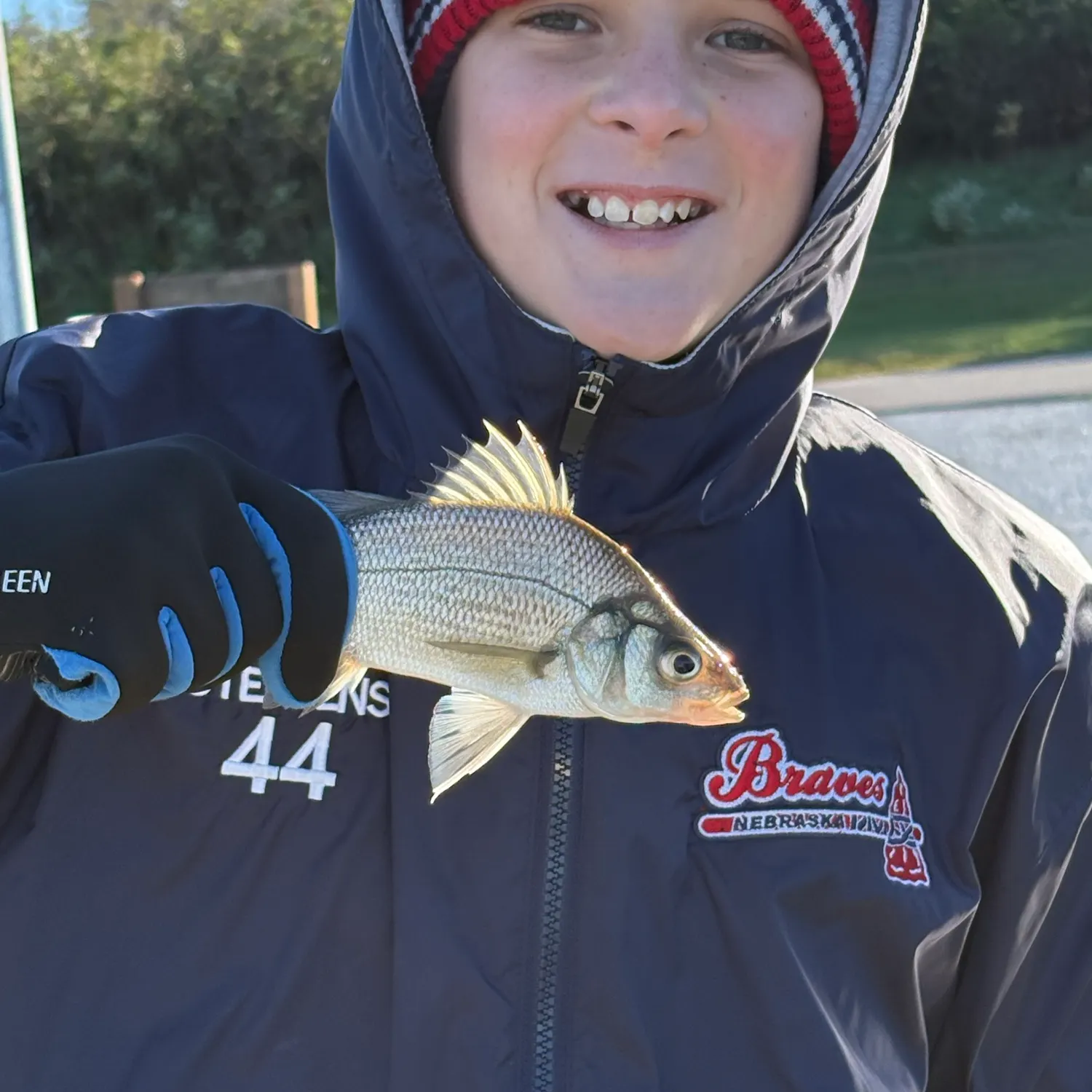 White perch caught on Fishbrain