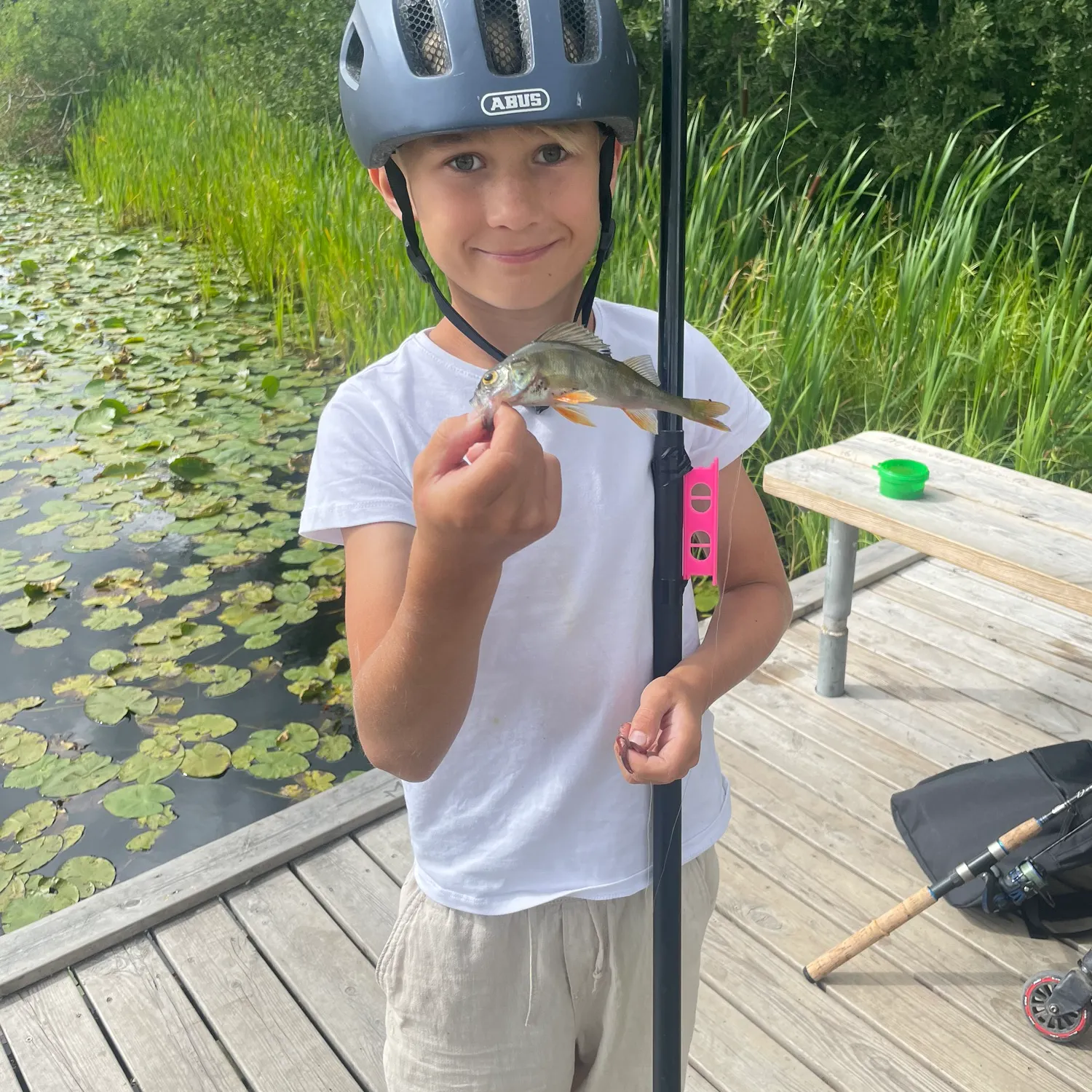 European perch caught on Fishbrain