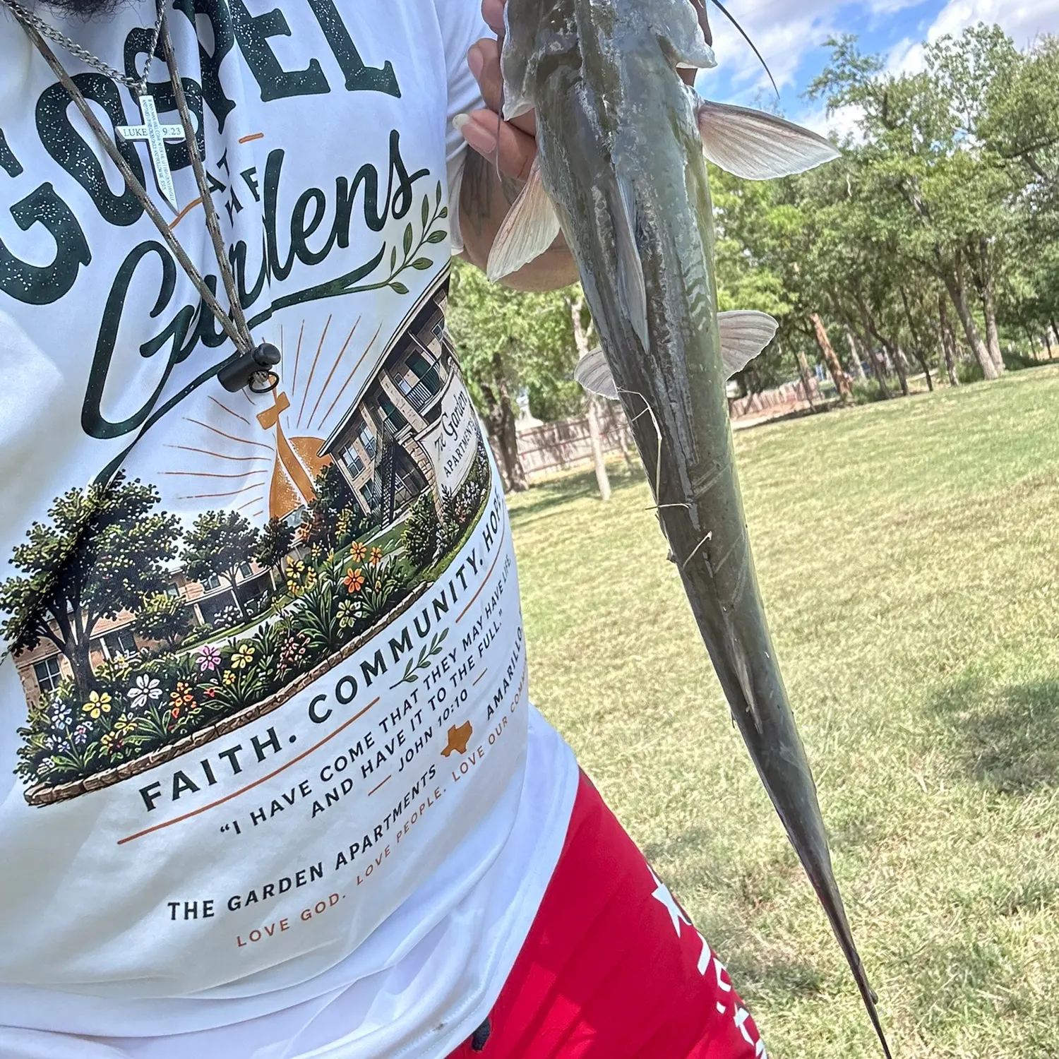 Channel catfish caught on Fishbrain