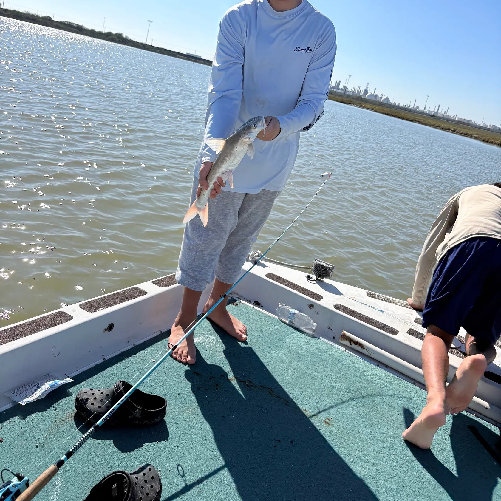 The most recent Hardhead sea catfish catches on Fishbrain