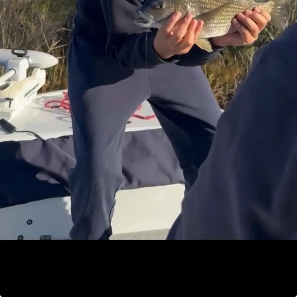 Southern black bream caught on Fishbrain