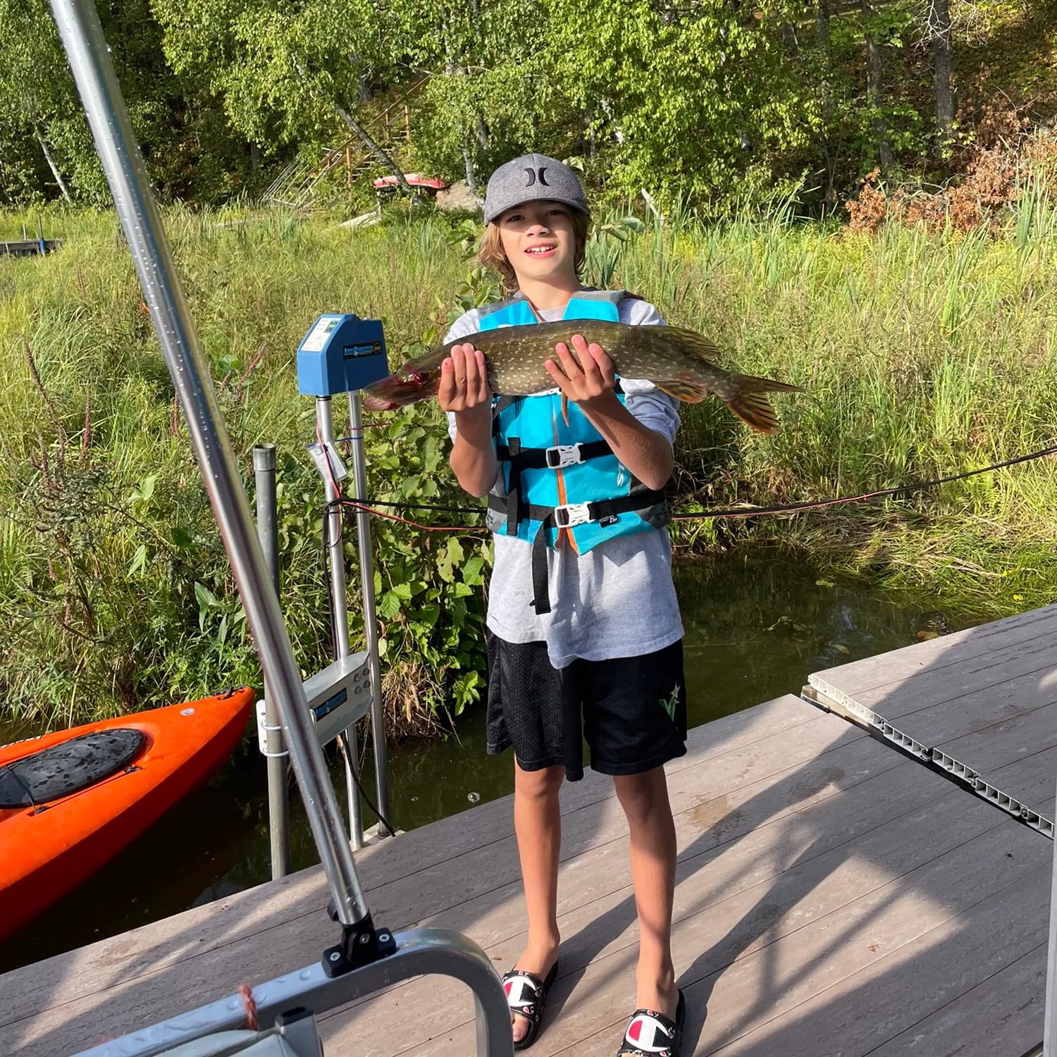 ᐅ Bashaw Lake fishing reports🎣• Siren, WI (United States) fishing
