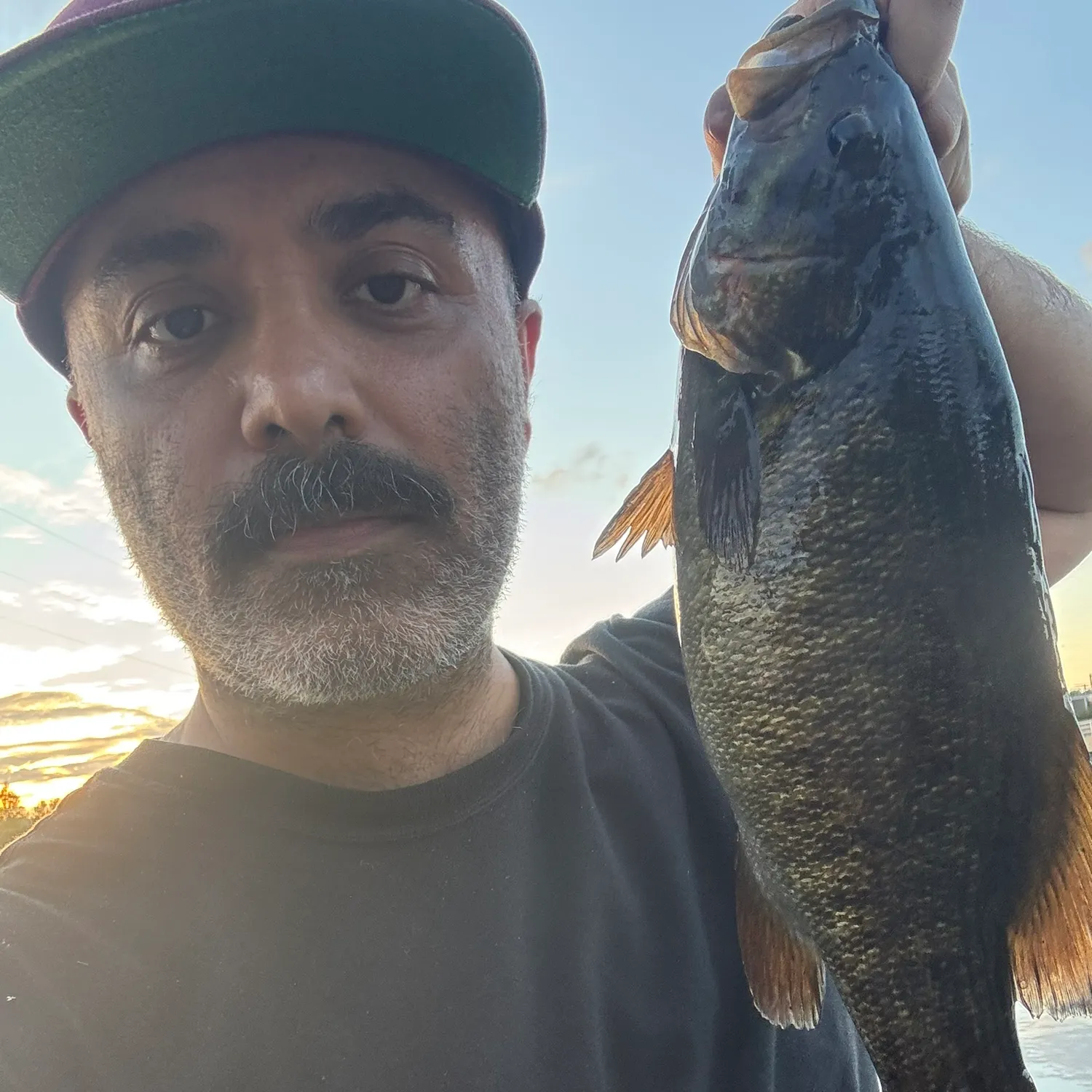 Smallmouth bass caught on Fishbrain