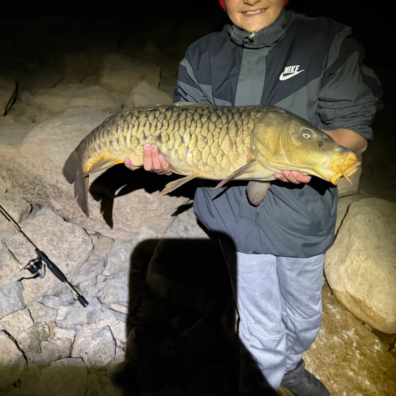 Mirror carp caught on Fishbrain