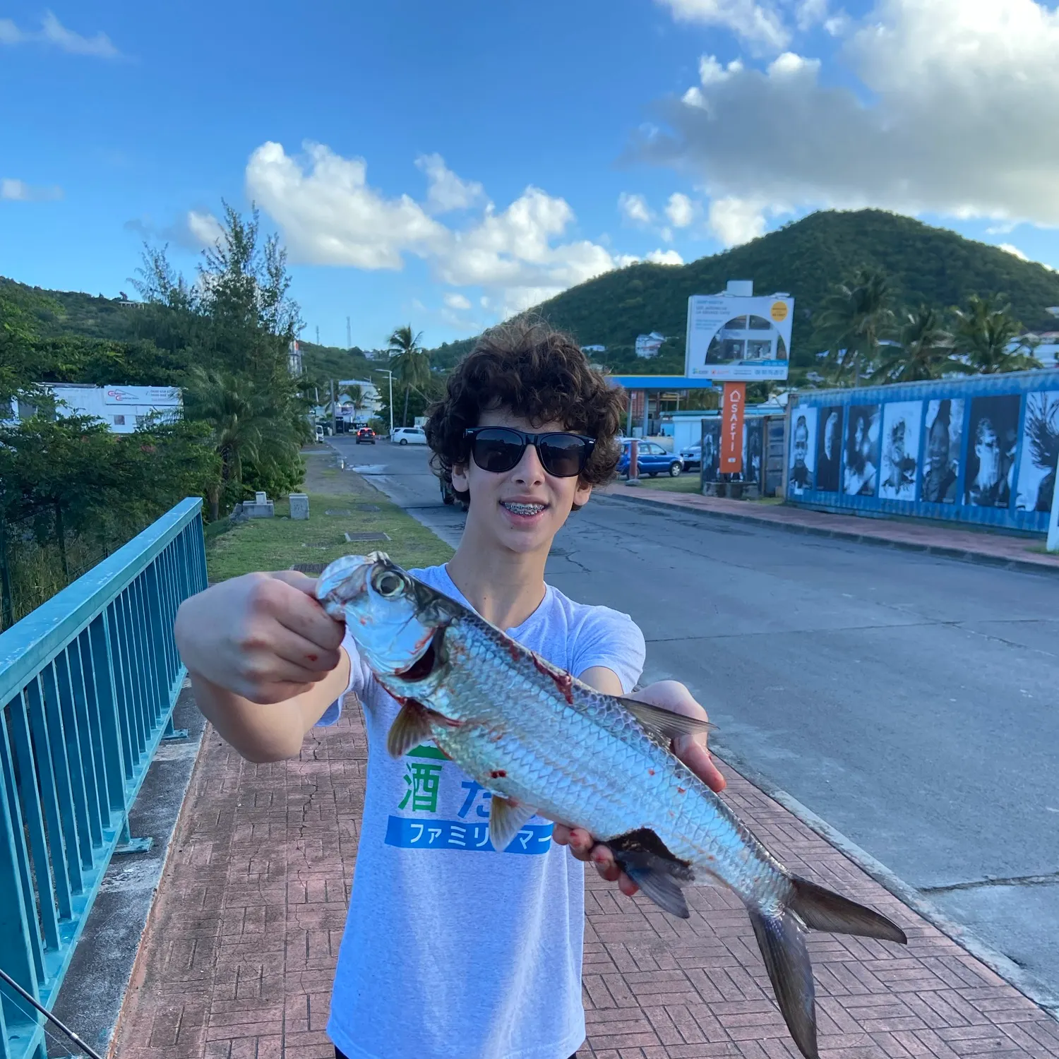 The most recent Tarpon catches on Fishbrain