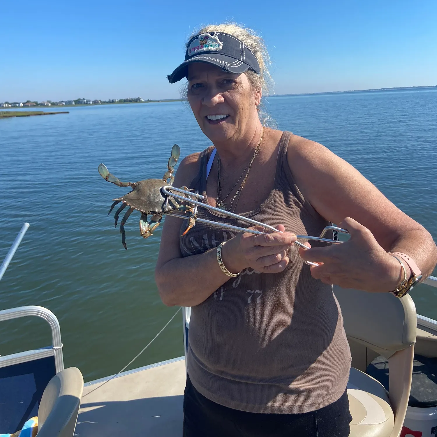 The most recent Blue crab catches on Fishbrain