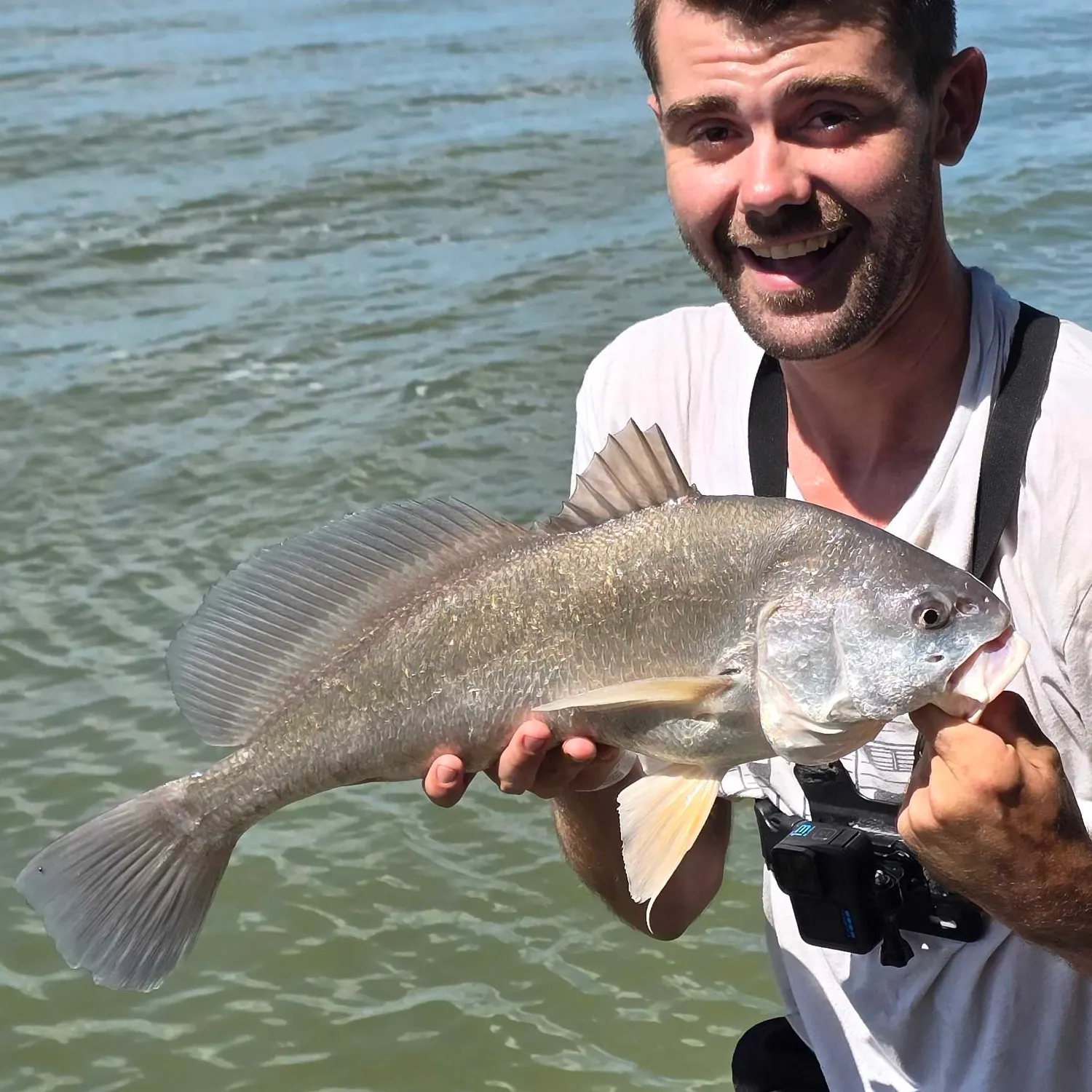 Freshwater drum caught on Fishbrain