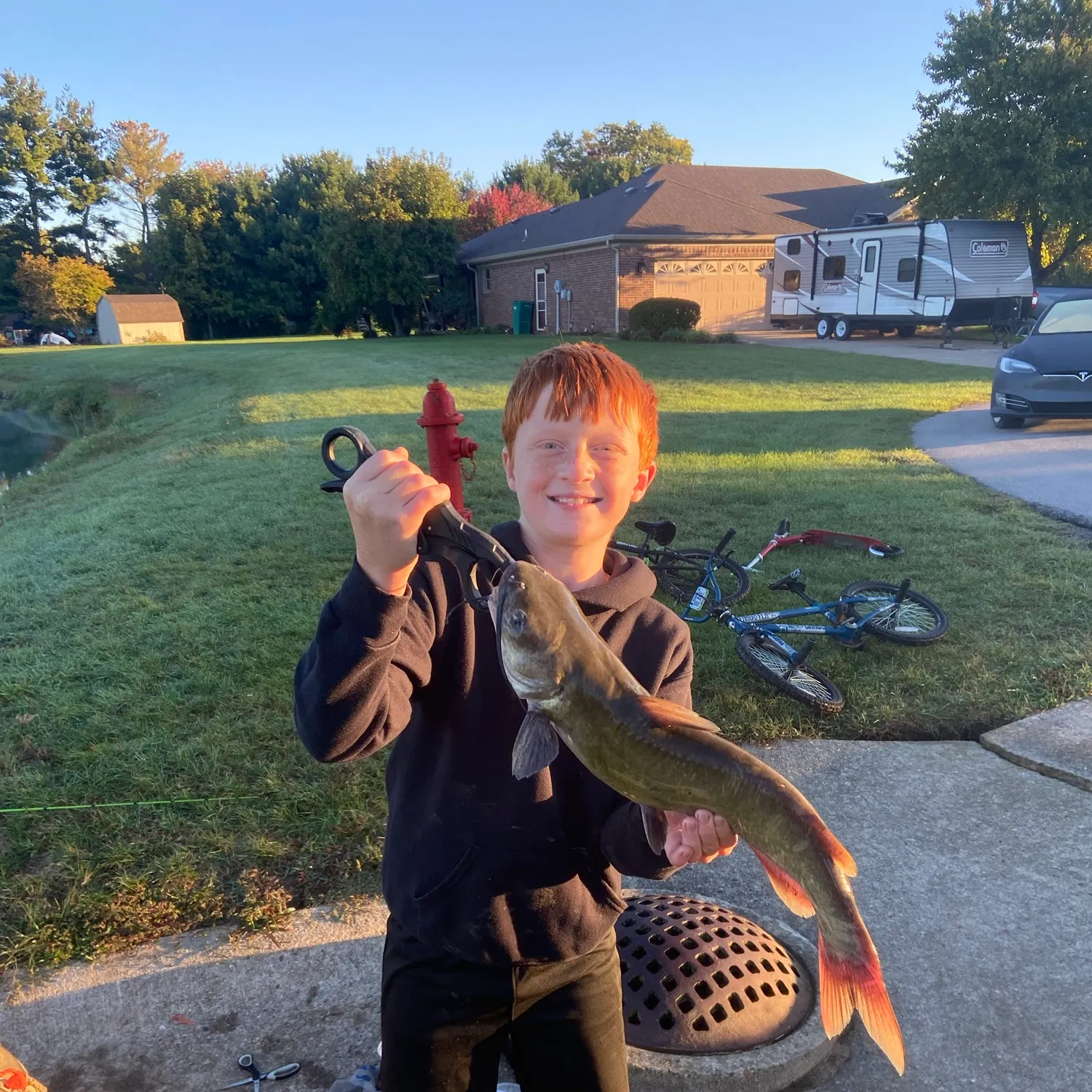 Channel catfish caught on Fishbrain