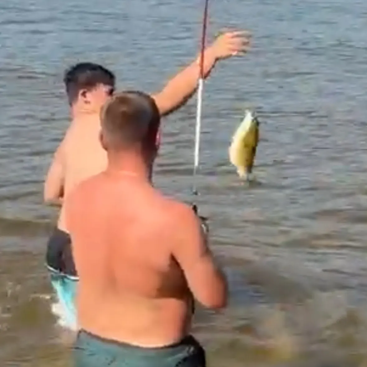 Smallmouth bass caught on Fishbrain