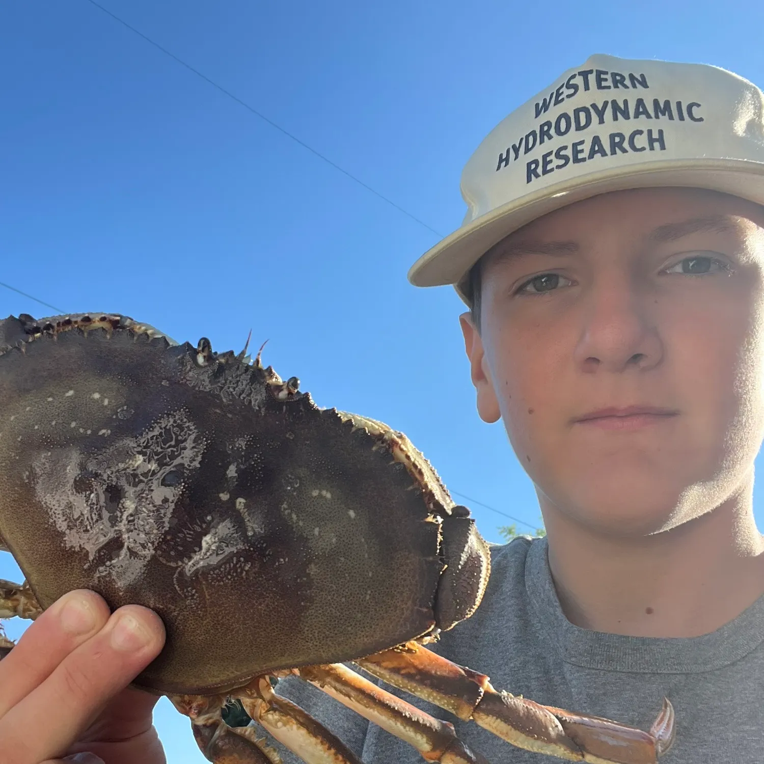 The most recent Dungeness crab catches on Fishbrain