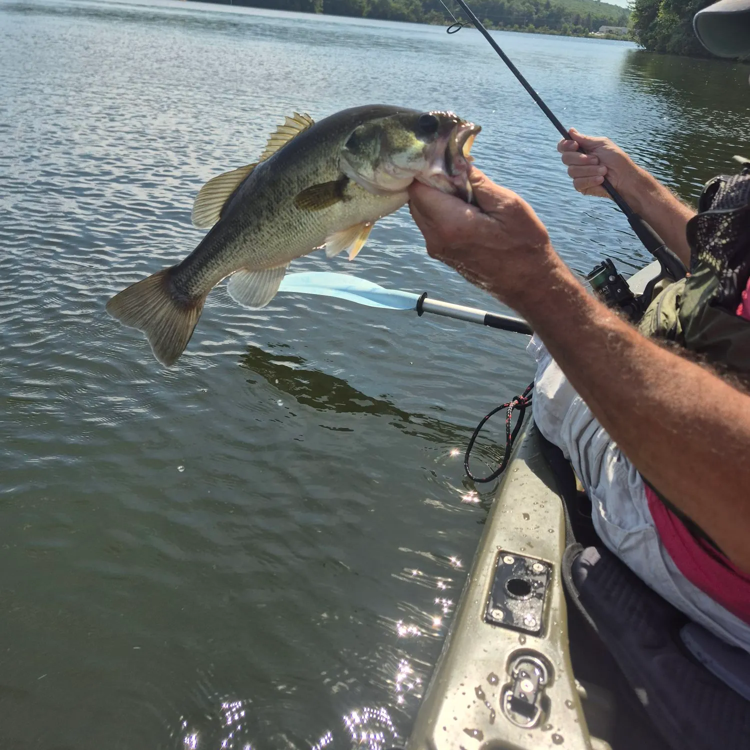 Largemouth bass caught on Fishbrain