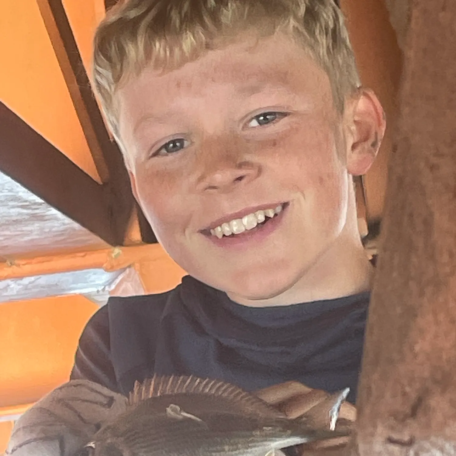 Southern black bream caught on Fishbrain
