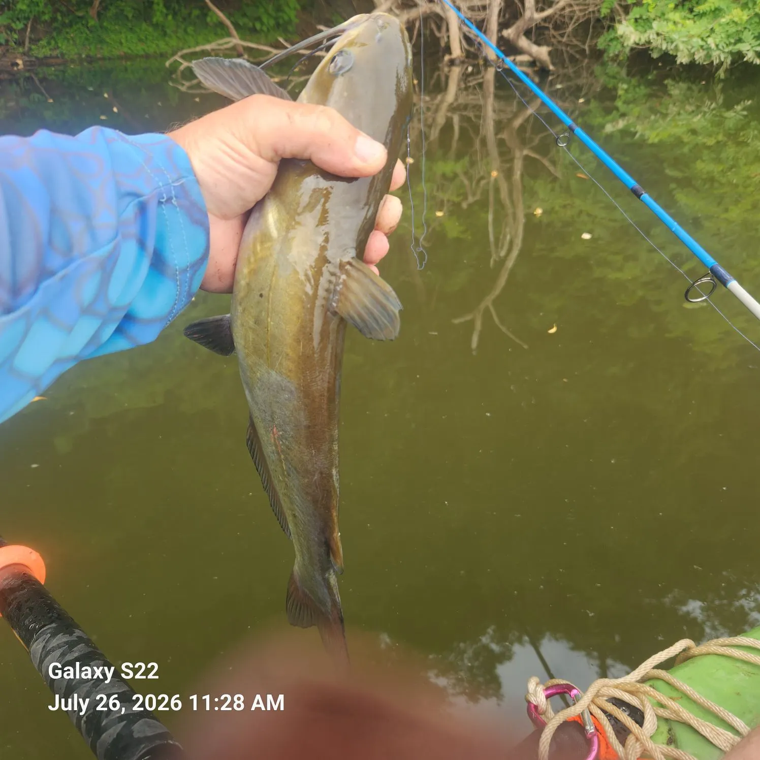 recently logged catches