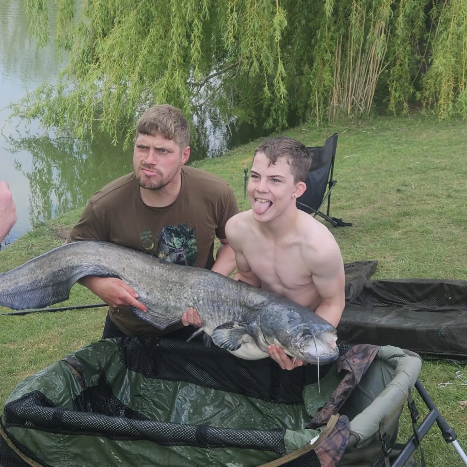 The most recent Wels catfish catches on Fishbrain