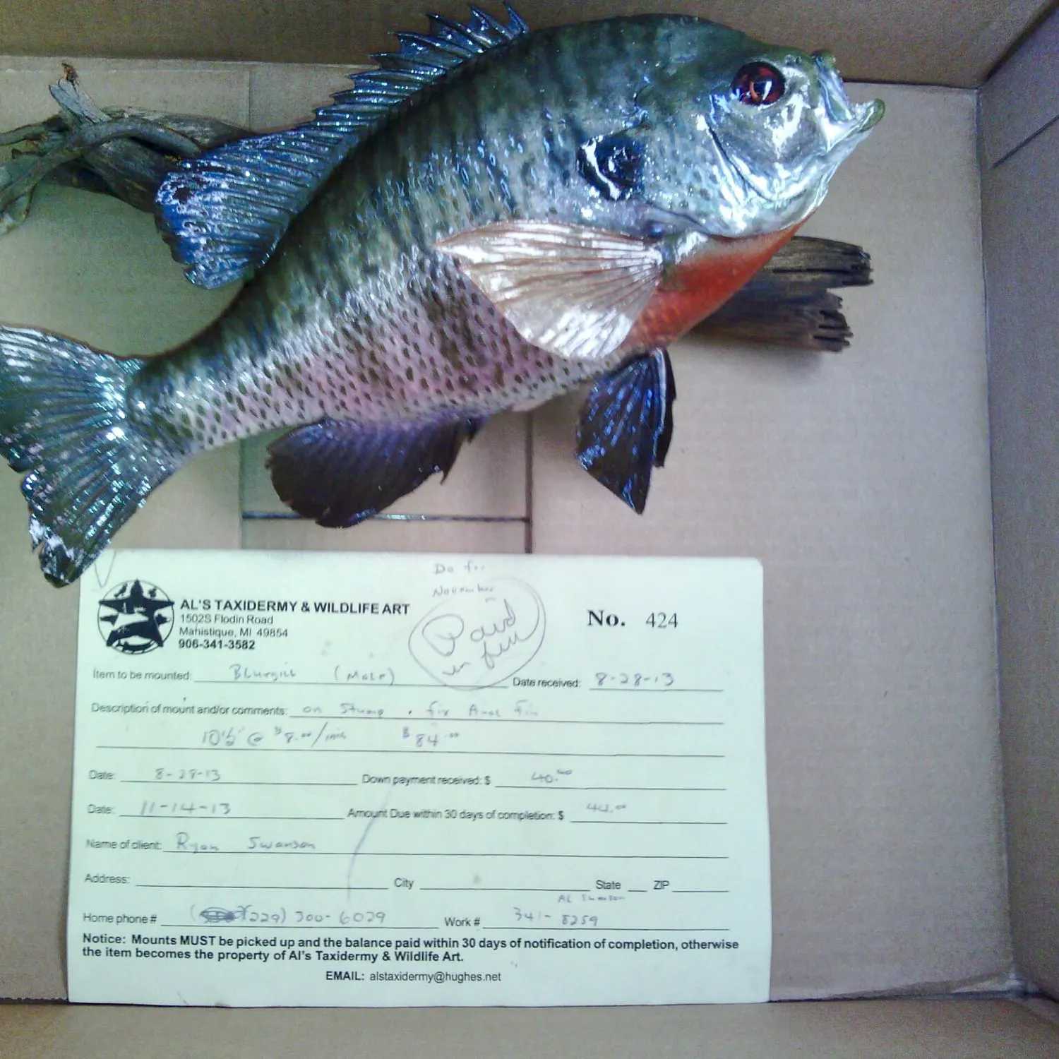 recently logged catches