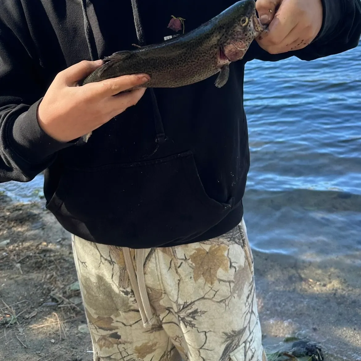 Rainbow trout caught on Fishbrain