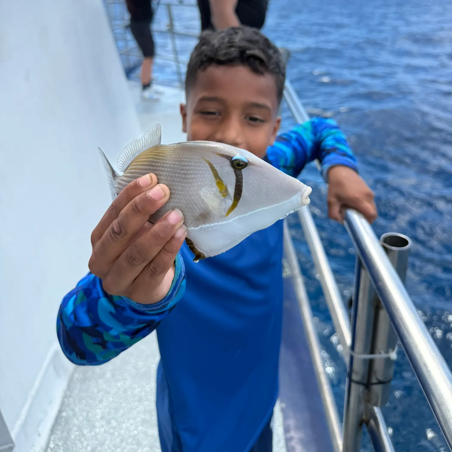 The most recent Wedge-tail triggerfish catches on Fishbrain
