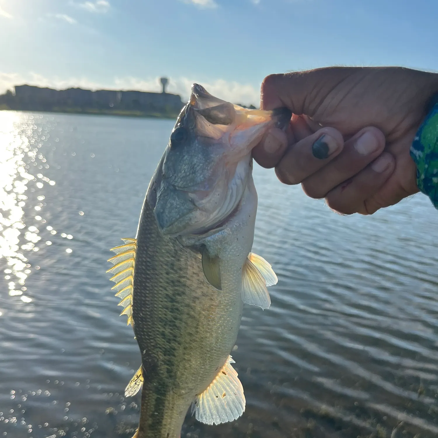 catch