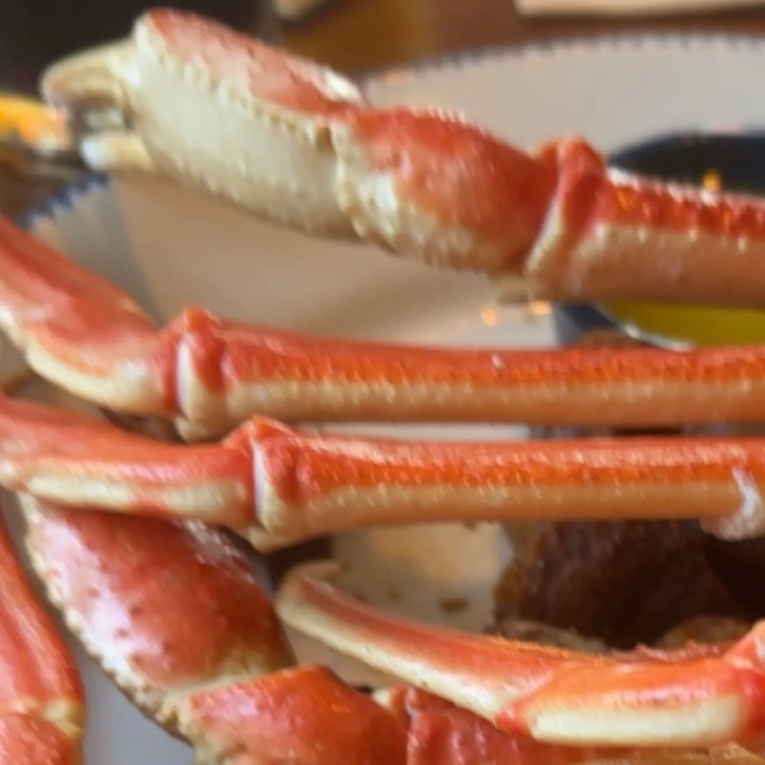 The most recent Opilio snow crab catches on Fishbrain