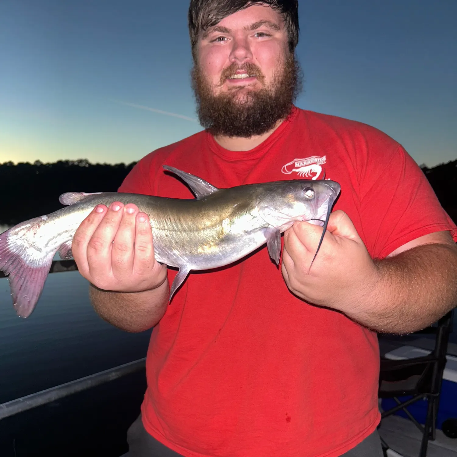 Channel catfish caught on Fishbrain