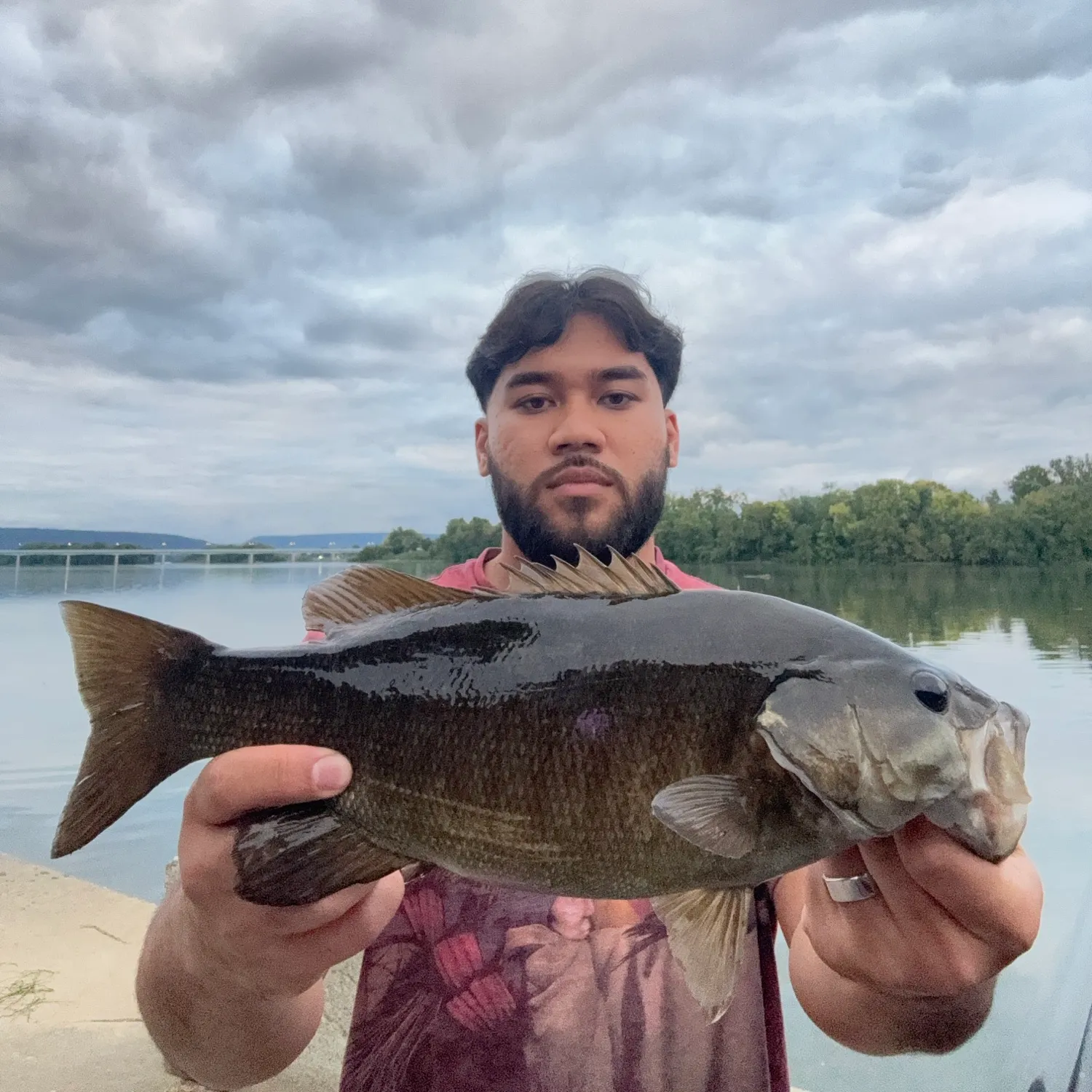 Smallmouth bass caught on Fishbrain