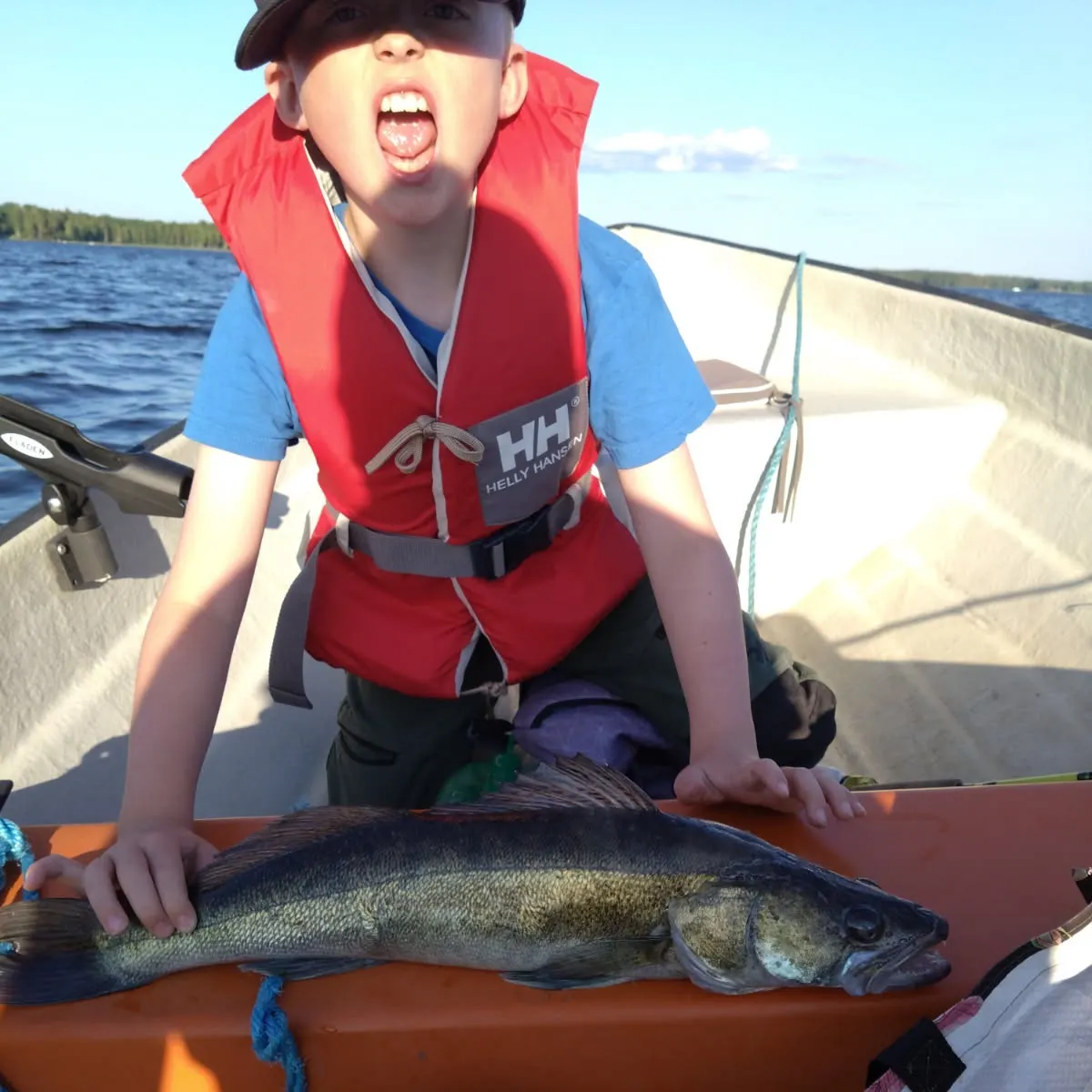 Zander caught on Fishbrain