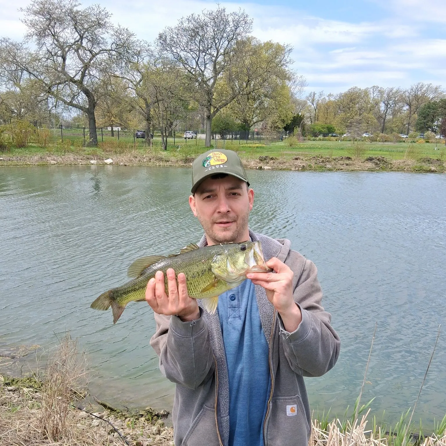 Largemouth bass caught on Fishbrain