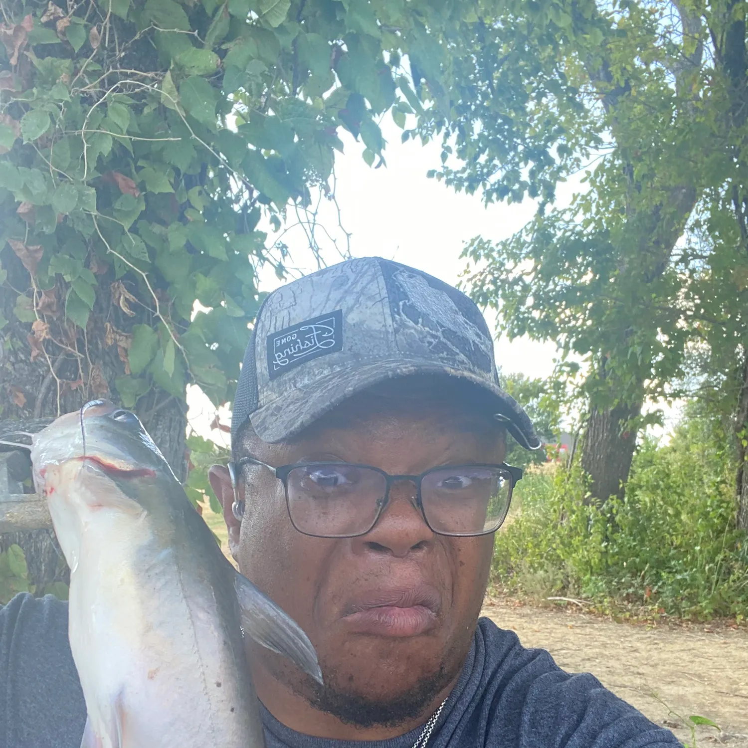 Channel catfish caught on Fishbrain