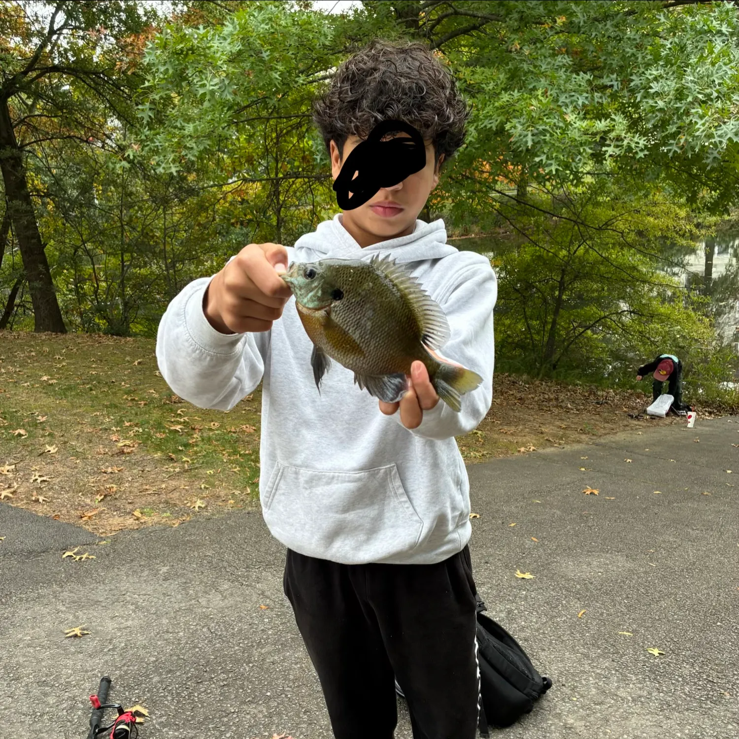 Bluegill caught on Fishbrain