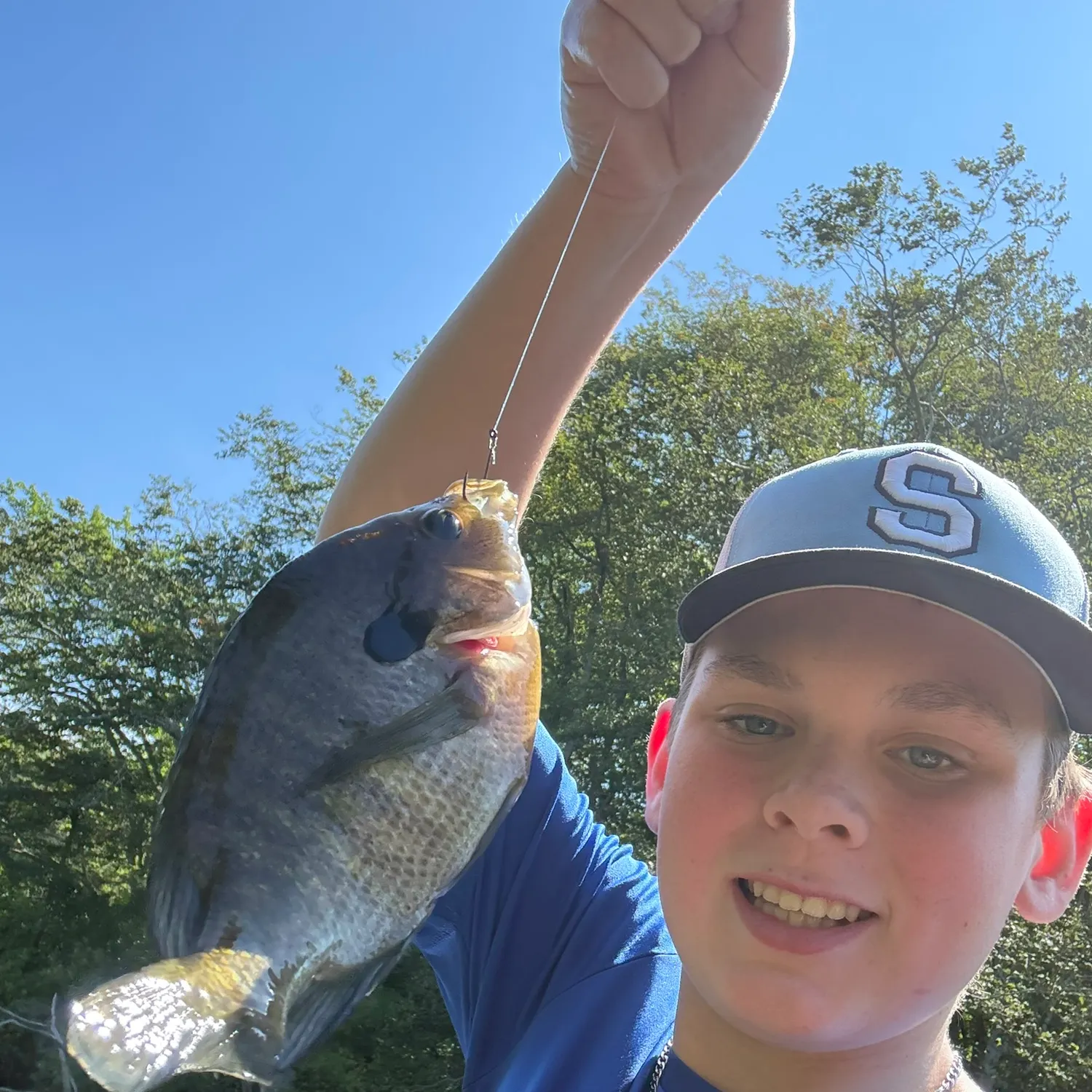 The most recent Bluespotted sunfish catches on Fishbrain