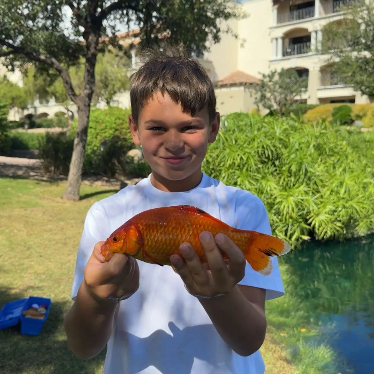 Goldfish caught on Fishbrain