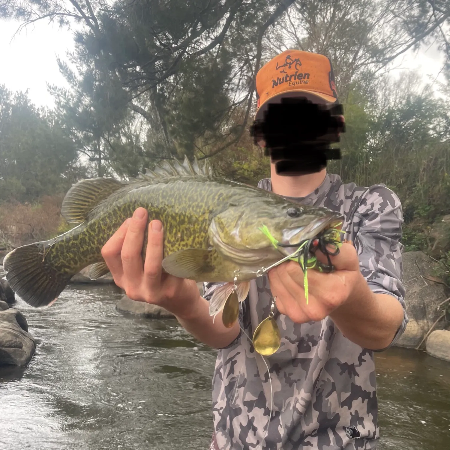 most liked catch image